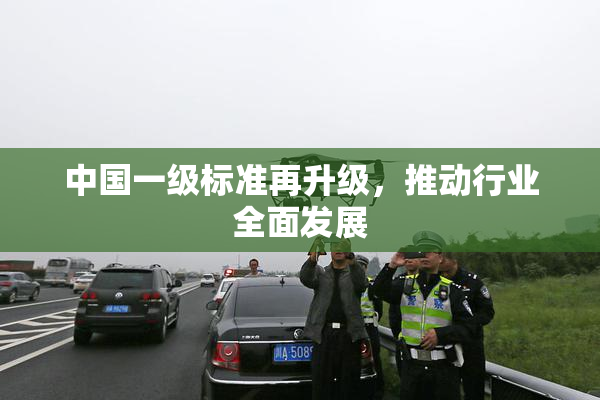 中国一级标准再升级，推动行业全面发展