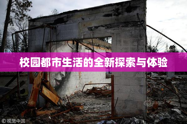 校园都市生活的全新探索与体验