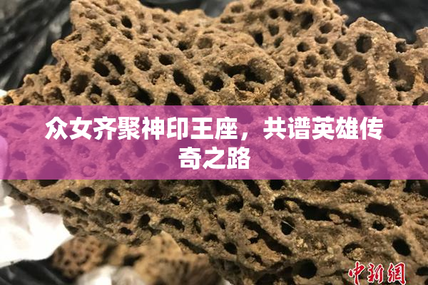 众女齐聚神印王座，共谱英雄传奇之路