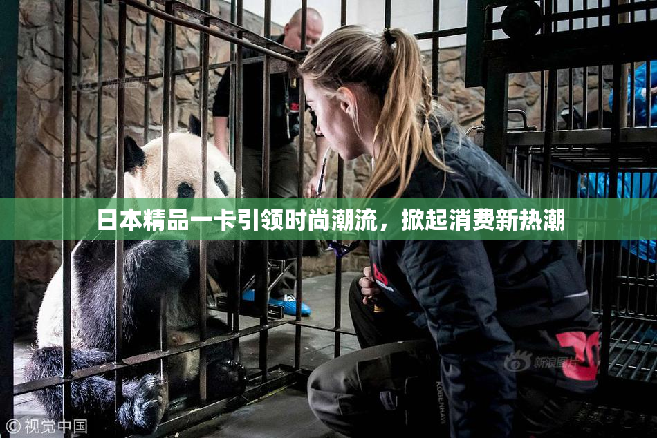 日本精品一卡引领时尚潮流，掀起消费新热潮