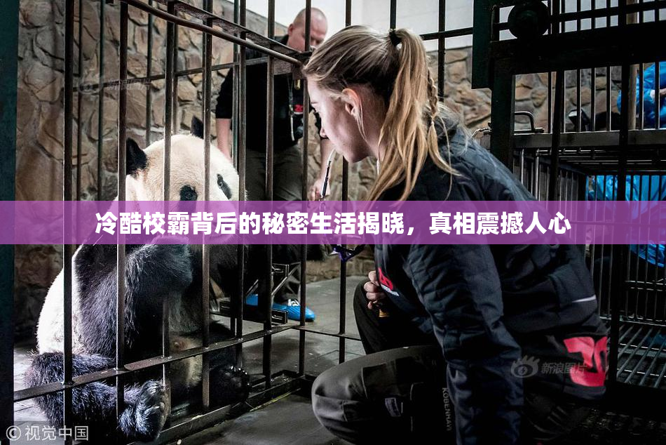 冷酷校霸背后的秘密生活揭晓，真相震撼人心