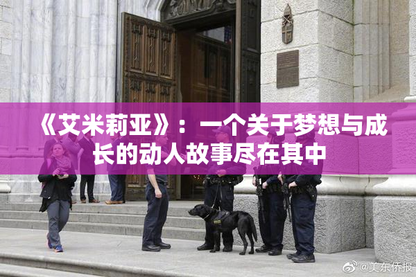 《艾米莉亚》：一个关于梦想与成长的动人故事尽在其中