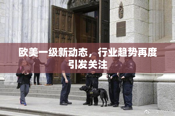 欧美一级新动态，行业趋势再度引发关注