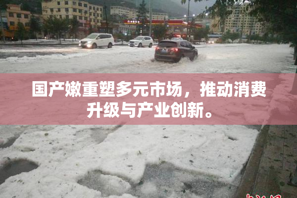 国产嫩重塑多元市场，推动消费升级与产业创新。