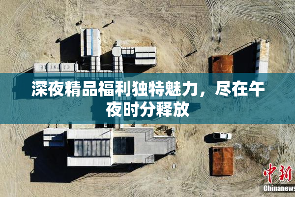 深夜精品福利独特魅力，尽在午夜时分释放