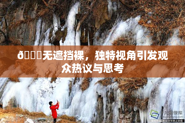 🔞无遮挡裸，独特视角引发观众热议与思考