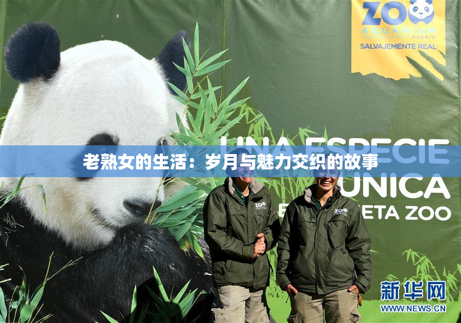 老熟女的生活：岁月与魅力交织的故事