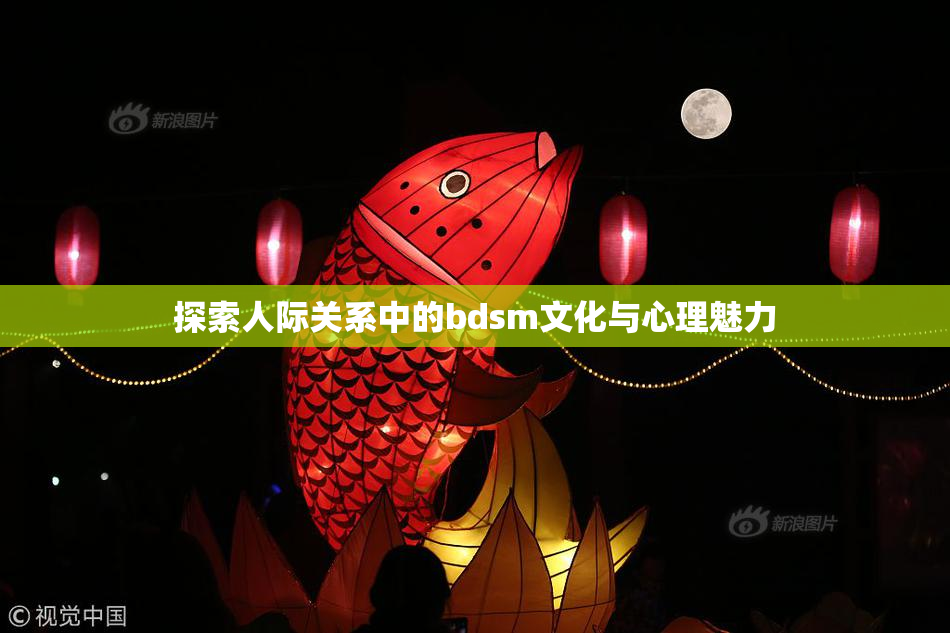 探索人际关系中的bdsm文化与心理魅力