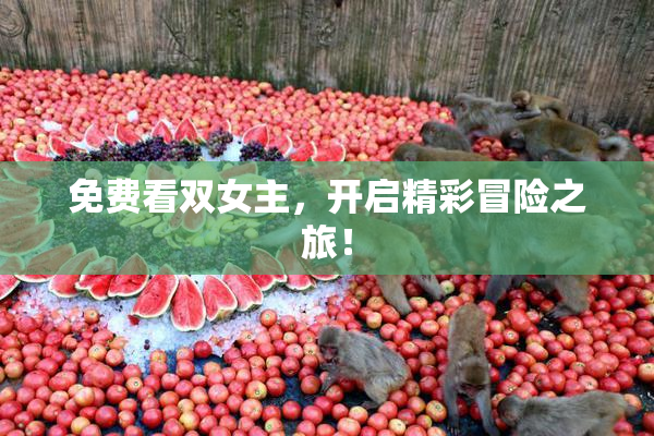 免费看双女主，开启精彩冒险之旅！