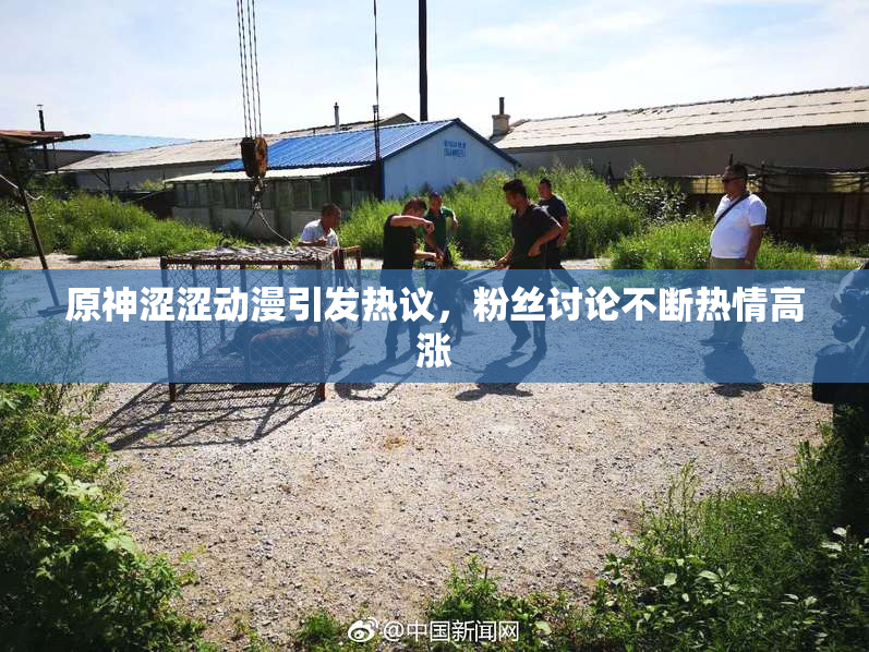 原神涩涩动漫引发热议，粉丝讨论不断热情高涨