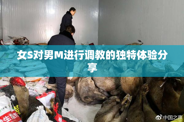 女S对男M进行调教的独特体验分享