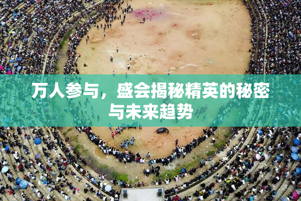 万人参与，盛会揭秘精英的秘密与未来趋势