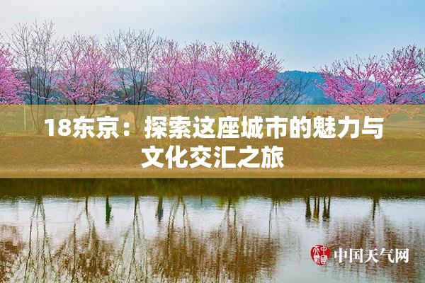 18东京：探索这座城市的魅力与文化交汇之旅