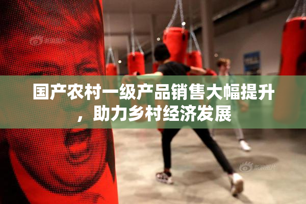 国产农村一级产品销售大幅提升，助力乡村经济发展