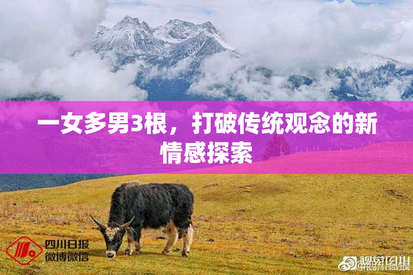 一女多男3根，打破传统观念的新情感探索