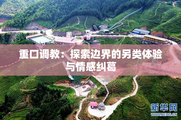 重口调教：探索边界的另类体验与情感纠葛