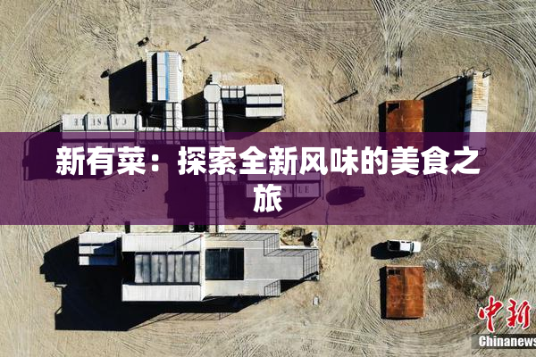新有菜：探索全新风味的美食之旅