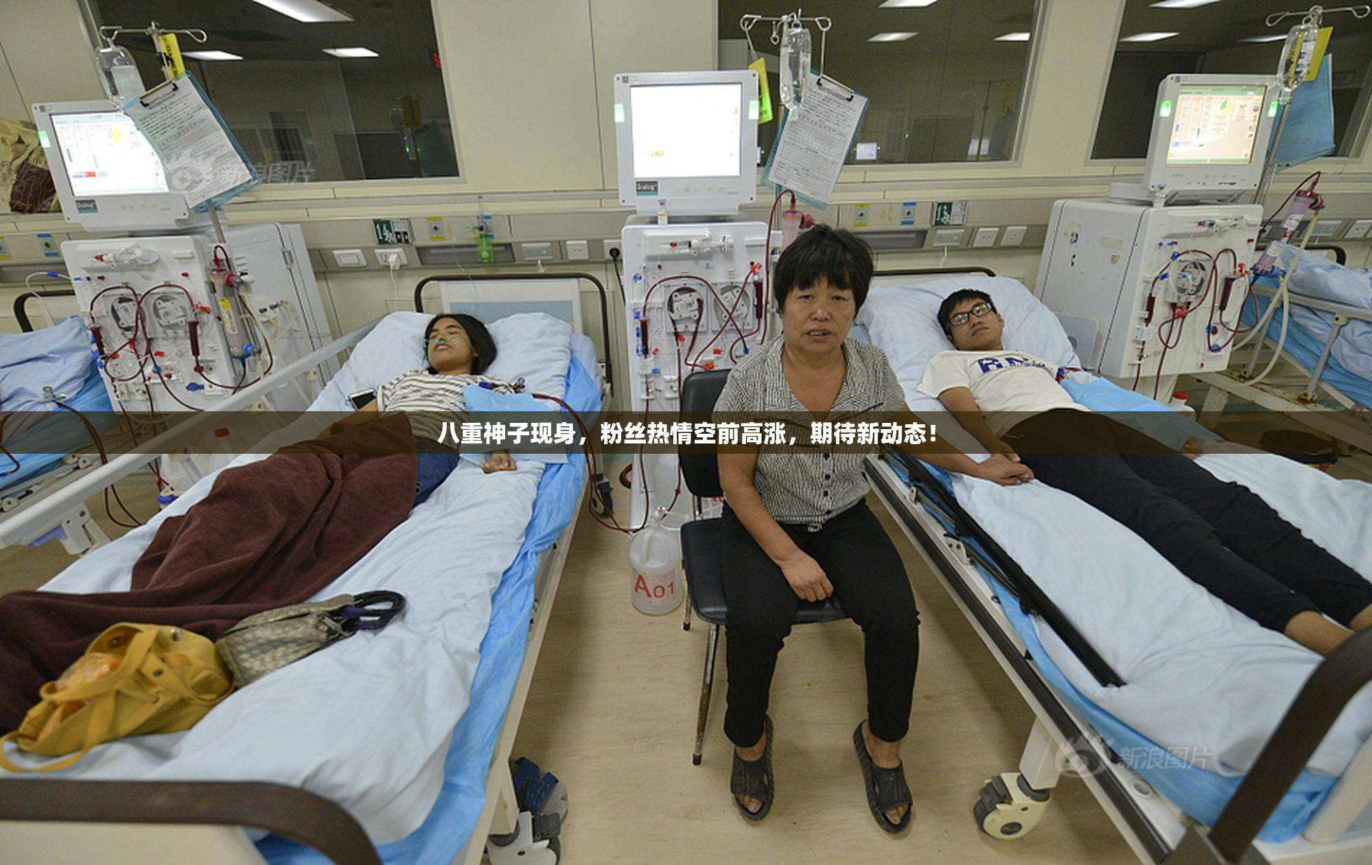 八重神子现身，粉丝热情空前高涨，期待新动态！