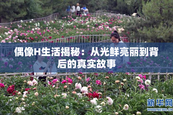 偶像H生活揭秘：从光鲜亮丽到背后的真实故事