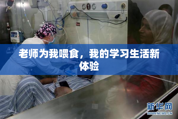 老师为我喂食，我的学习生活新体验