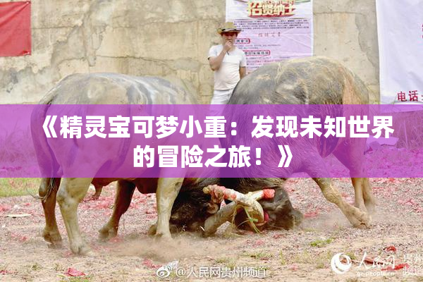 《精灵宝可梦小重：发现未知世界的冒险之旅！》