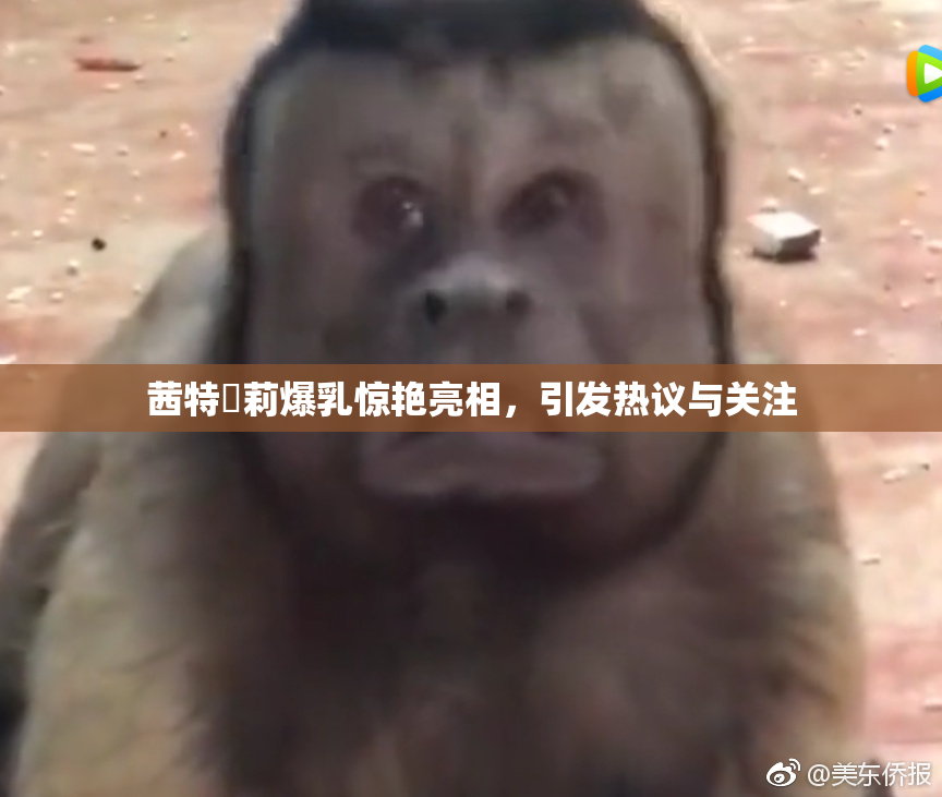 茜特菈莉爆乳惊艳亮相，引发热议与关注