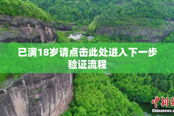已满18岁请点击此处进入下一步验证流程