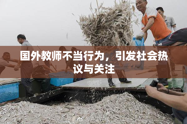 国外教师不当行为，引发社会热议与关注