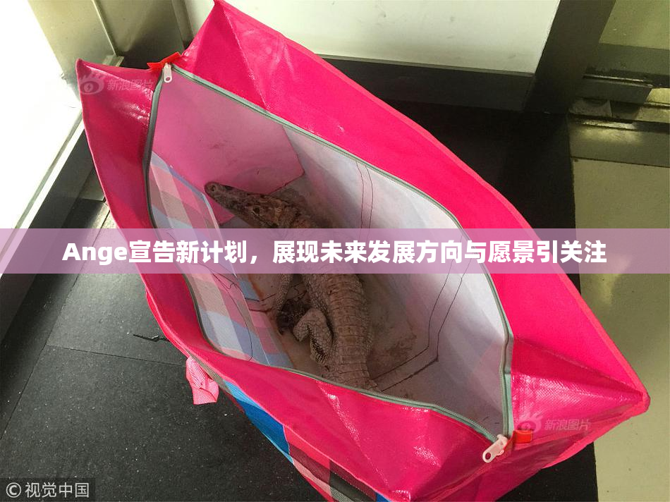 Ange宣告新计划，展现未来发展方向与愿景引关注