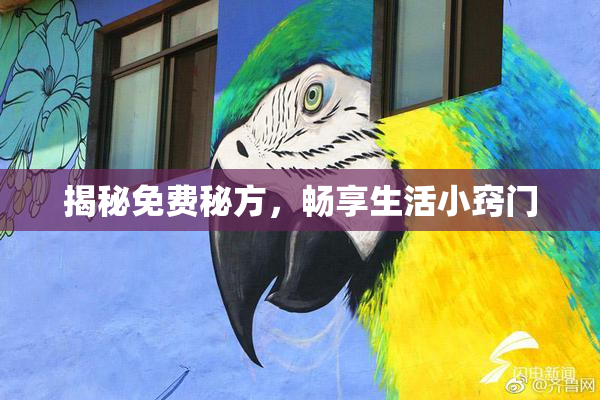 揭秘免费秘方，畅享生活小窍门