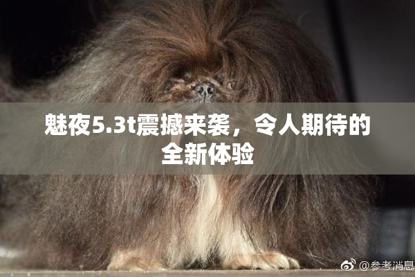 魅夜5.3t震撼来袭，令人期待的全新体验