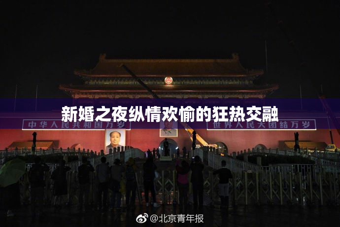 新婚之夜纵情欢愉的狂热交融