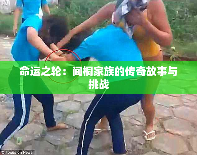 命运之轮：间桐家族的传奇故事与挑战