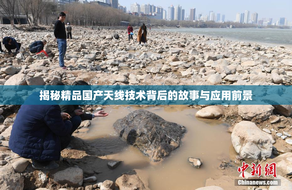 揭秘精品国产天线技术背后的故事与应用前景