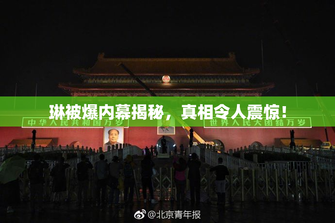 琳被爆内幕揭秘，真相令人震惊！