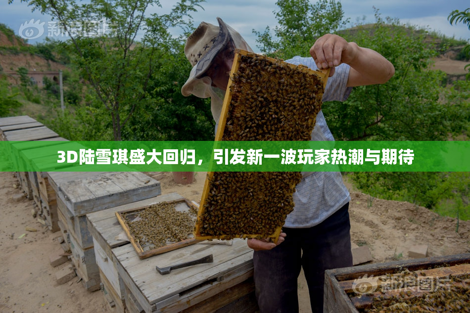 3D陆雪琪盛大回归，引发新一波玩家热潮与期待