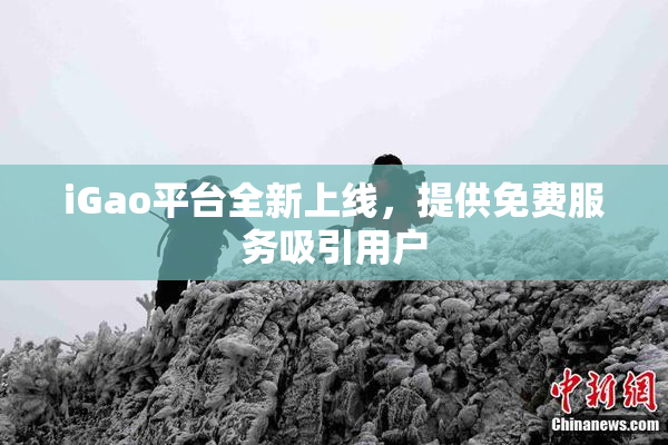 iGao平台全新上线，提供免费服务吸引用户