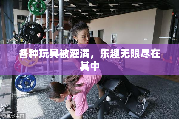 各种玩具被灌满，乐趣无限尽在其中