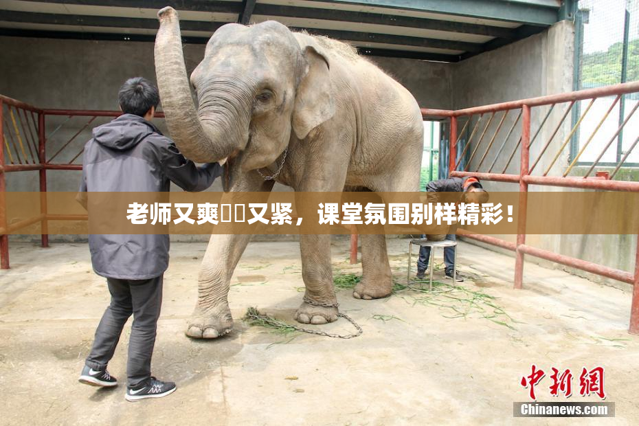老师又爽❌‌又紧，课堂氛围别样精彩！