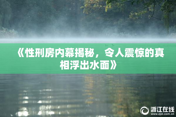 《性刑房内幕揭秘，令人震惊的真相浮出水面》