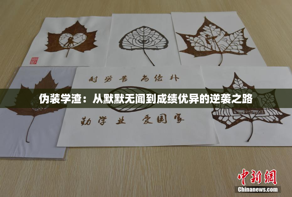 伪装学渣：从默默无闻到成绩优异的逆袭之路