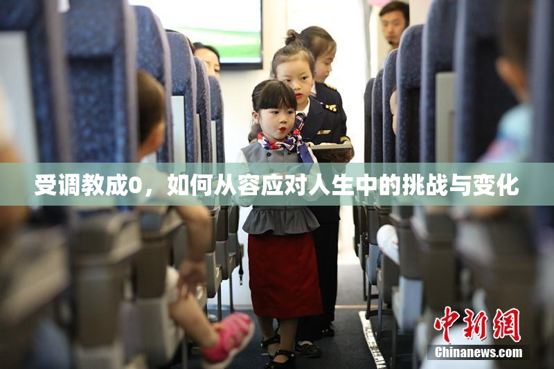受调教成0，如何从容应对人生中的挑战与变化