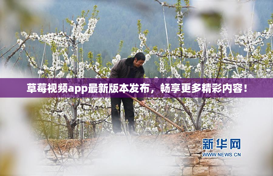 草莓视频app最新版本发布，畅享更多精彩内容！