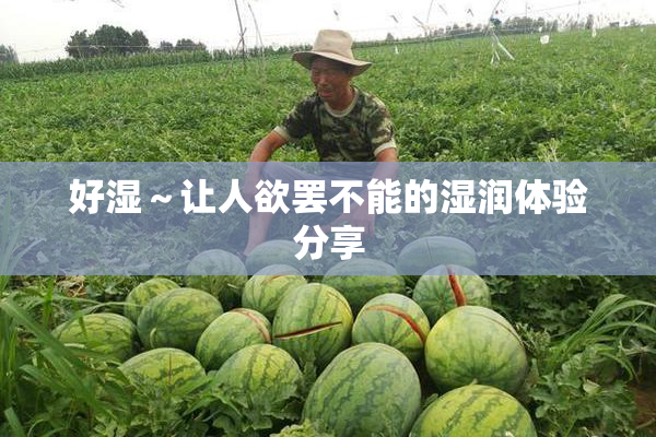好湿～让人欲罢不能的湿润体验分享