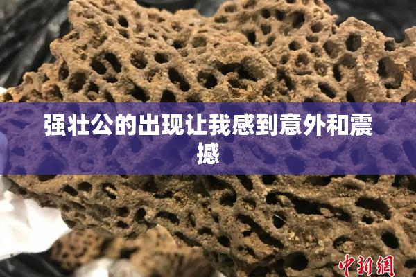 强壮公的出现让我感到意外和震撼