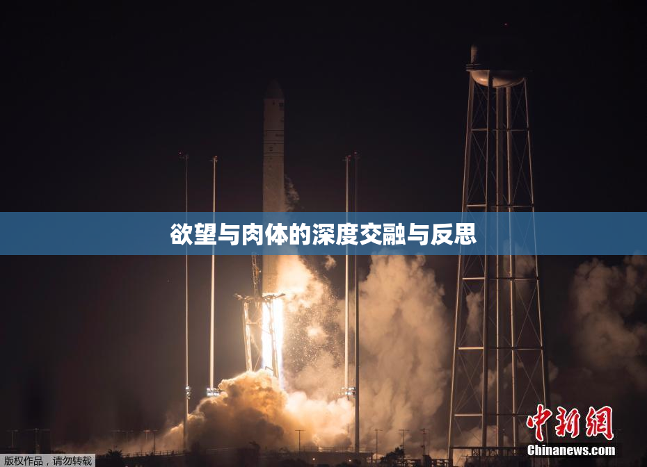欲望与肉体的深度交融与反思