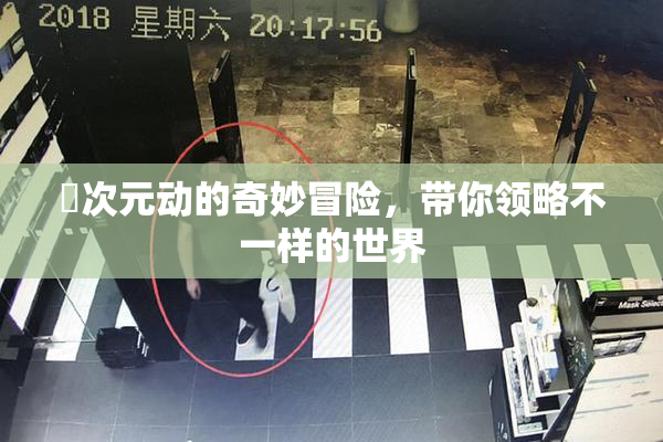 囧次元动的奇妙冒险，带你领略不一样的世界