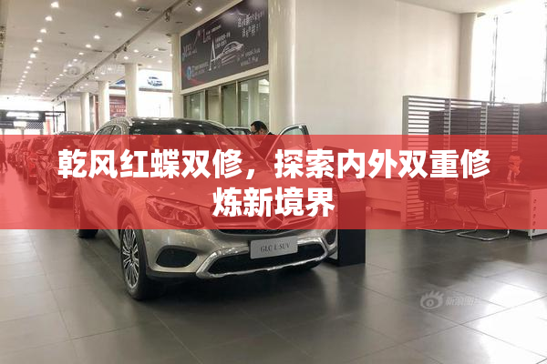 乾风红蝶双修，探索内外双重修炼新境界