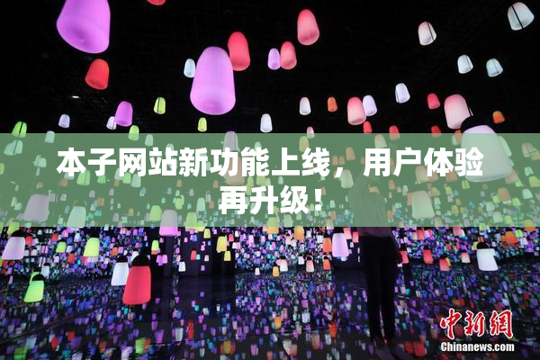 本子网站新功能上线，用户体验再升级！