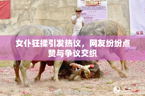 女仆狂揉引发热议，网友纷纷点赞与争议交织